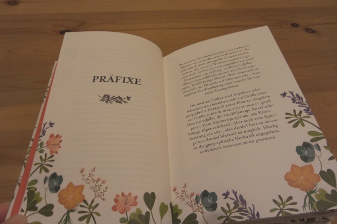 Einblick in das Buch "Gärtnerlatein": Kapitel über Präfixe mit hübschen Blumendekorationen