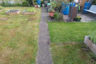 Rechts vom Weg ein kleines Stück dunkelgrüne Rasenfläche. Auf linker Seite hellgrün-gelber frisch gemähter Rasen.